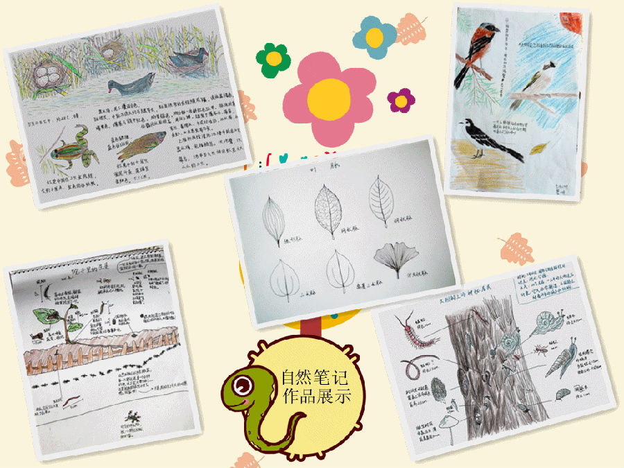 上海动物园自然笔记工作室开始招募学员啦!等你来! 开始时间:3月18日 16:00(周一) 结束时间:3月31日 23:59(周日) 地 点:上海动物园 活动简介: 走入自然中,以类似于日记性的手绘图画、文字等形式,对身边的大自然进行记录,这就是自然笔记。自然笔记是所有人都可以用来亲近自然的方式,不论你是否拥有扎实的绘画功底,都可以用画笔学到一种崭新的亲近大自然的方式。4月13日,上海动物园 自然笔记工作室正式成立,现在上海动物园新浪官方微博平台公开向社会招募学员,欢迎各位热爱大自然的网友报名参