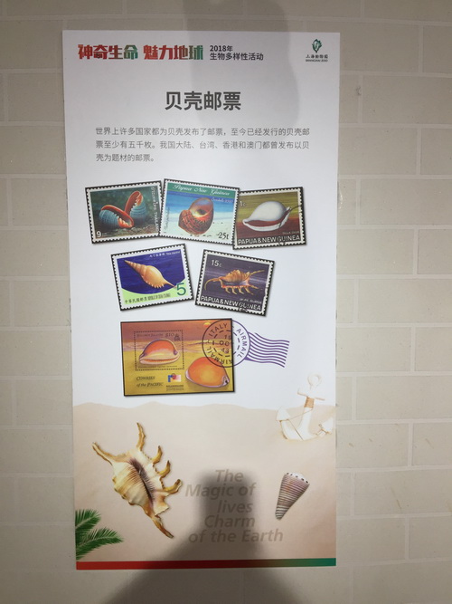 IMG_6283_调整大小.JPG