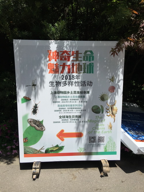 IMG_6315_调整大小.JPG
