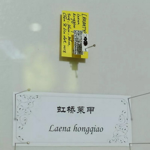 IMG_6324_调整大小.JPG