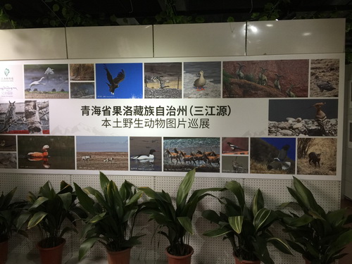6_调整大小.JPG