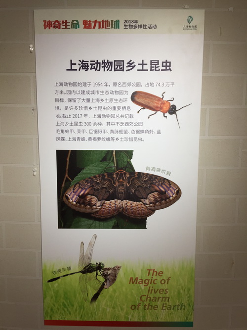 11_调整大小.JPG