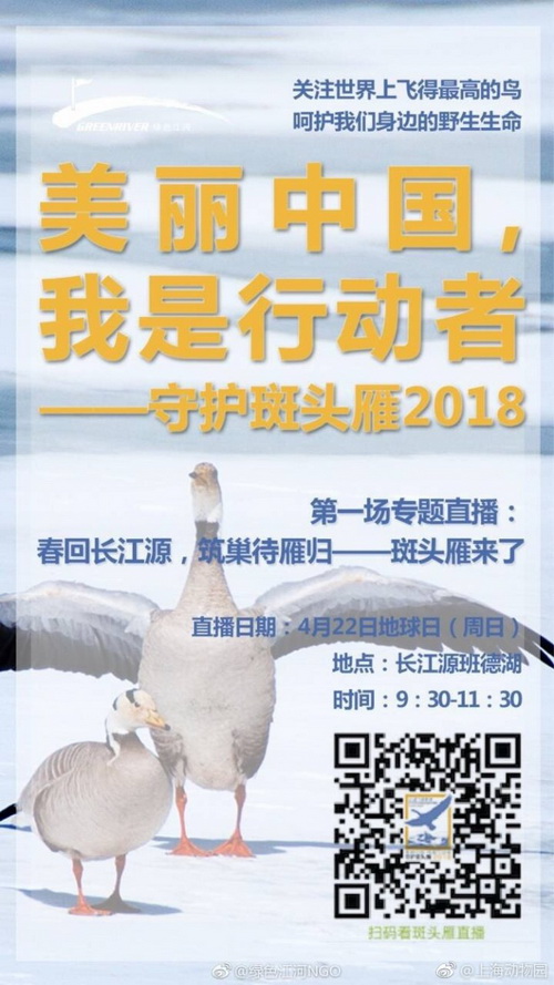 814af84bgy1fql5xa8dxxj20k00zkjve_调整大小.jpg