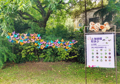 微信图片_20180927084827_调整大小.jpg