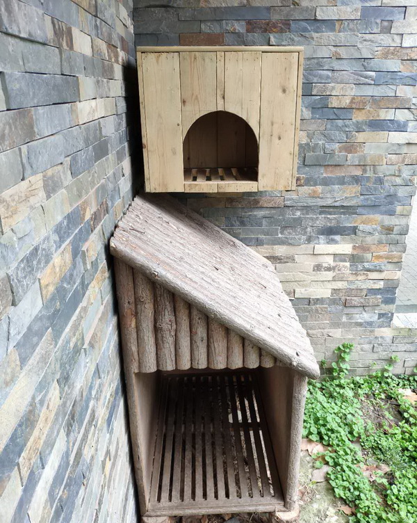 领狐猴的跨国良缘4.jpg