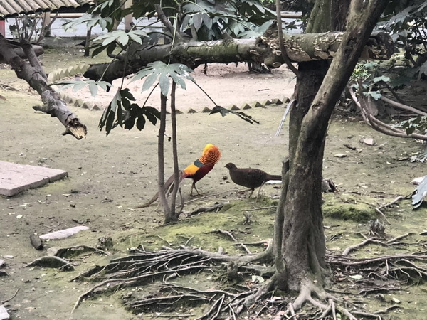 微信图片_20190325152728.jpg