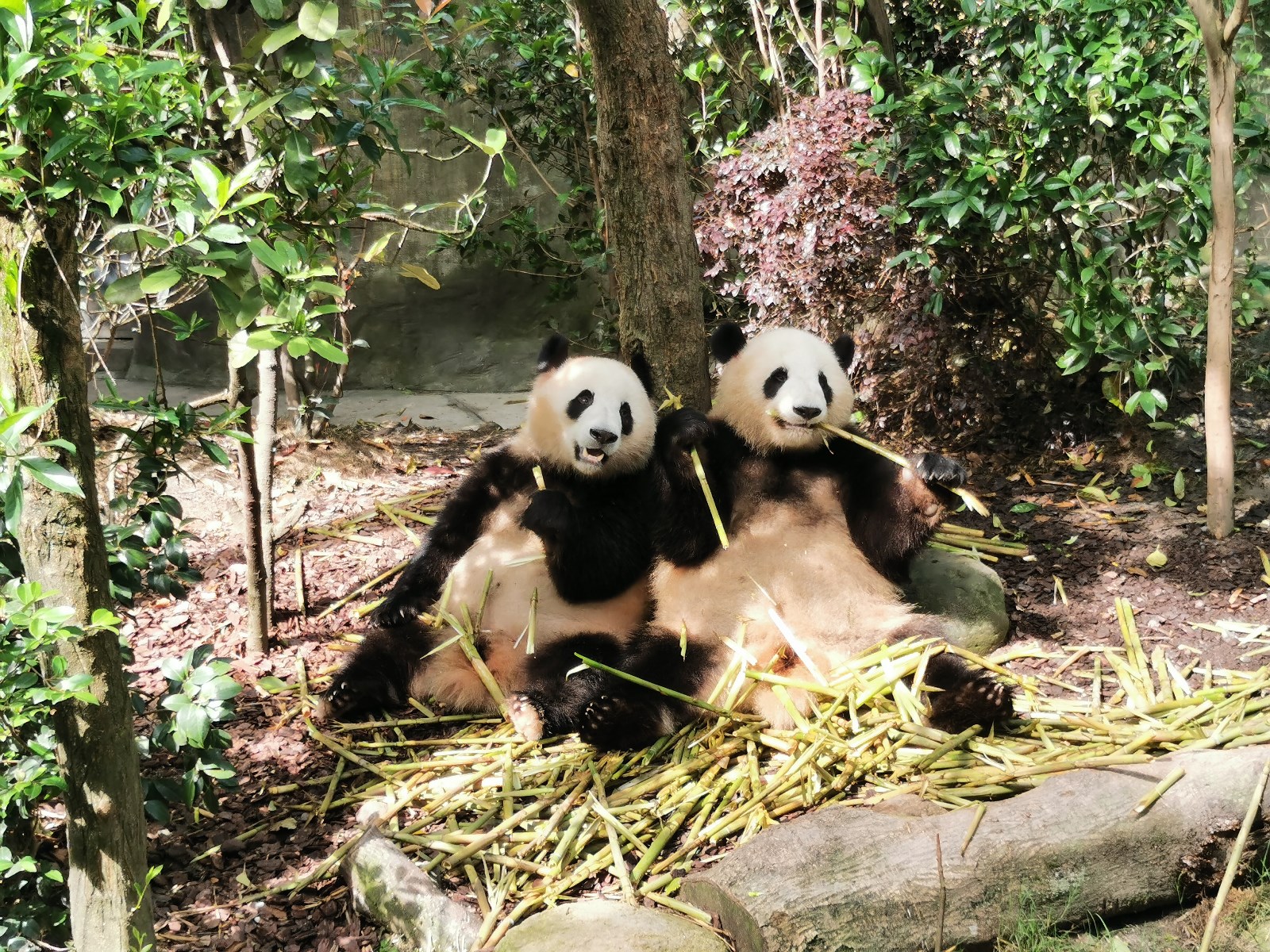 QQ图片20190618084123.jpg QQ图片20190618084123.jpg