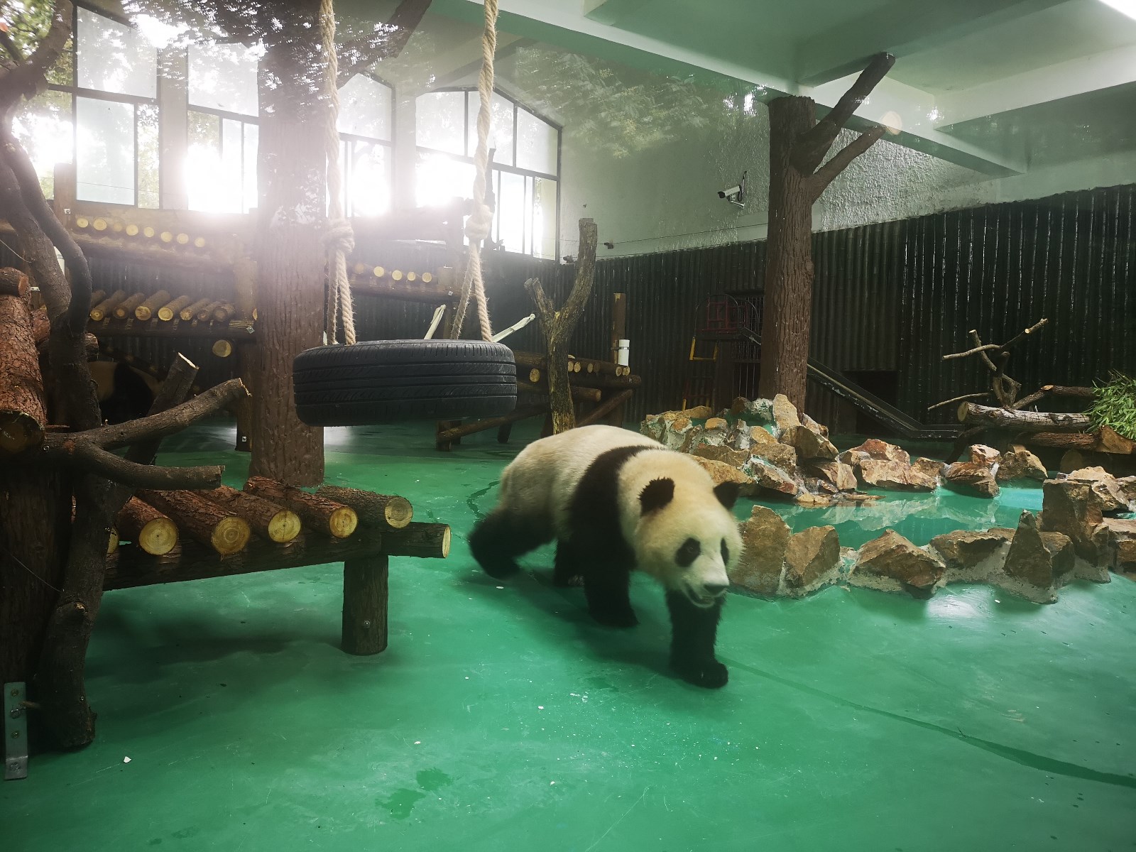 微信图片_20190618141430.jpg 微信图片_20190618141430.jpg