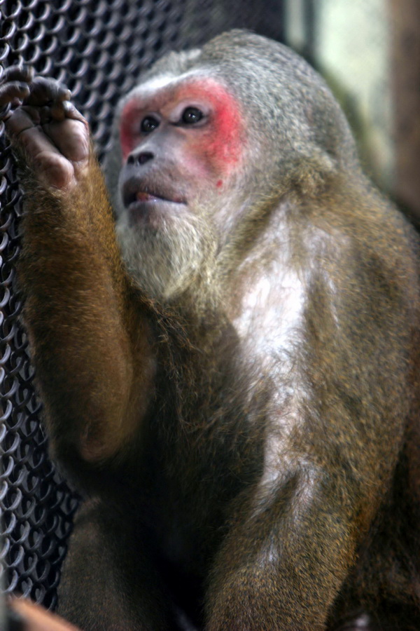 CRW_6397_RT8.JPG