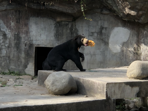 微信图片_201910301540532.jpg