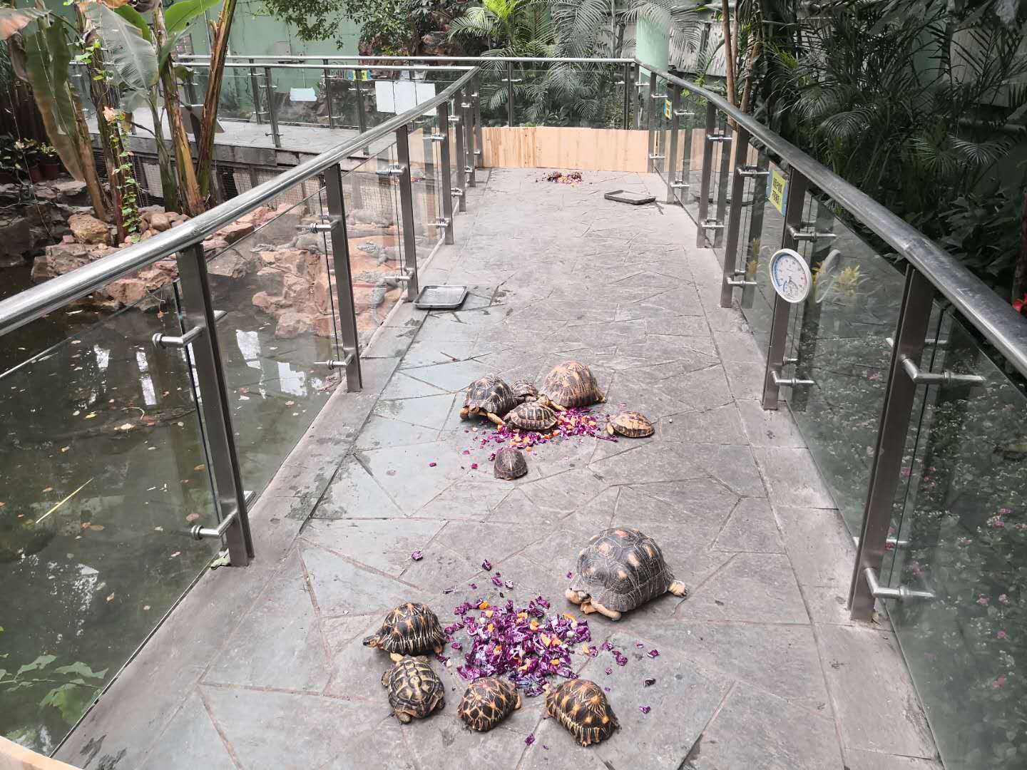 两爬馆 杜歆芸(5).jpg 两爬馆 杜歆芸(5).jpg