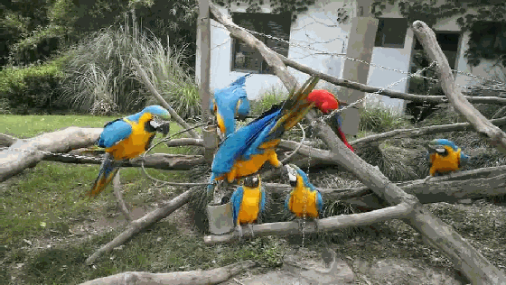 微信图片_20200529152045.gif 微信图片_20200529152045.gif