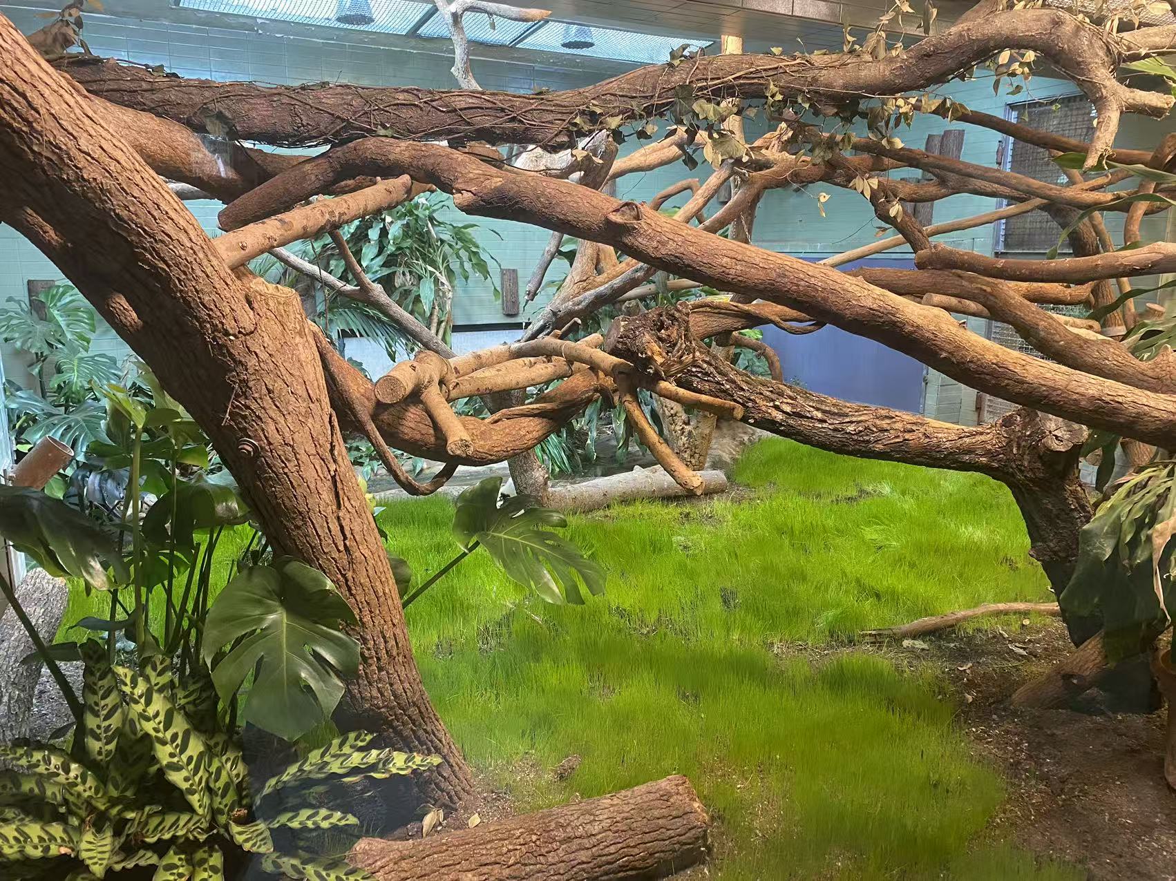 b28a45d3ecd9a7973b904da6668da0d6.jpg b28a45d3ecd9a7973b904da6668da0d6.jpg