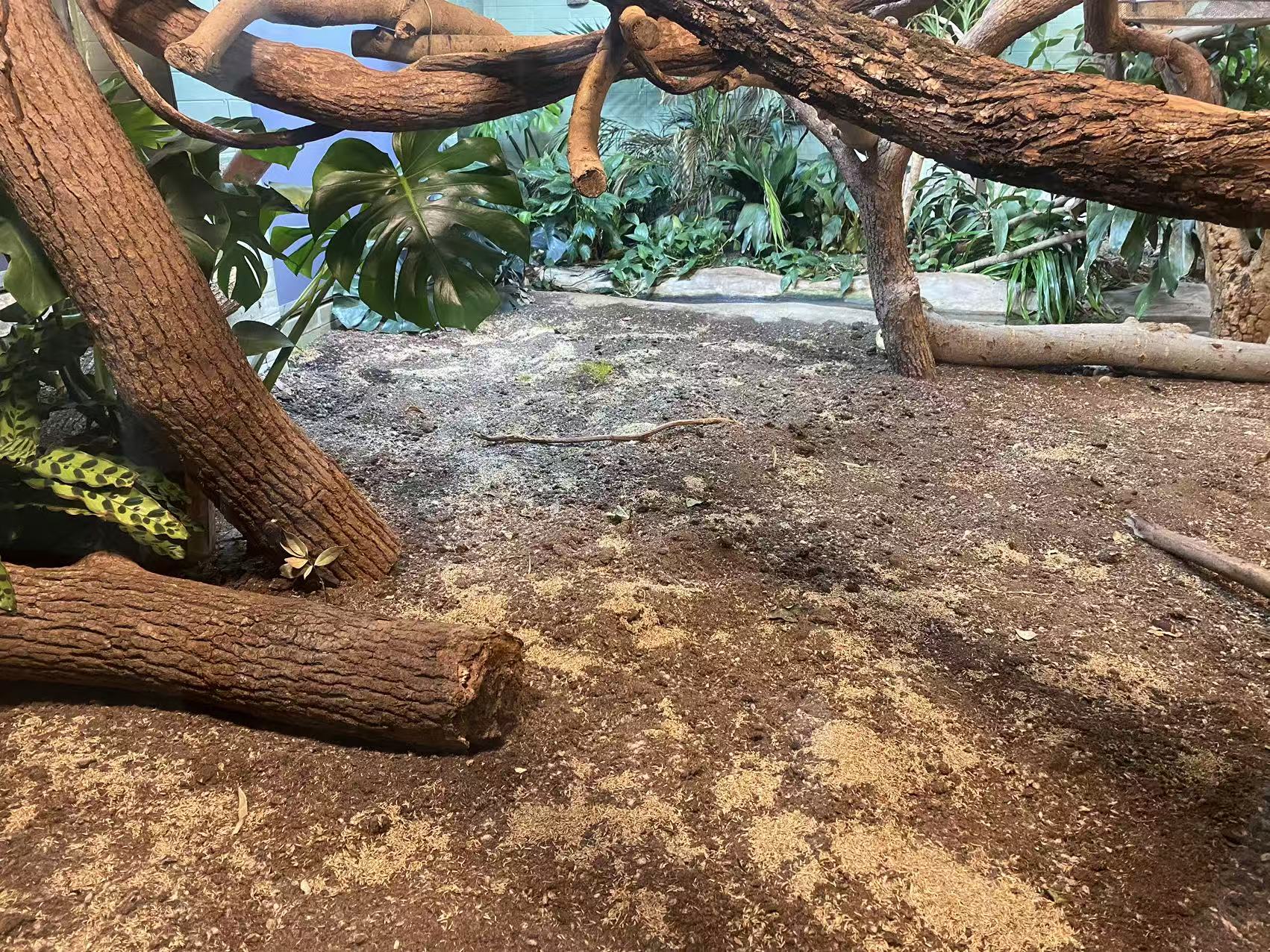 f9e16d39092eb9f41d2e2bdf1fd898a6.jpg f9e16d39092eb9f41d2e2bdf1fd898a6.jpg