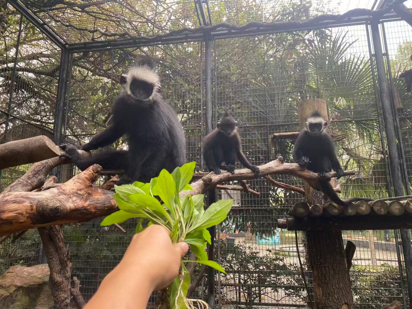 1f0d66514a5ee6844467e8a07729644b.jpg 1f0d66514a5ee6844467e8a07729644b.jpg