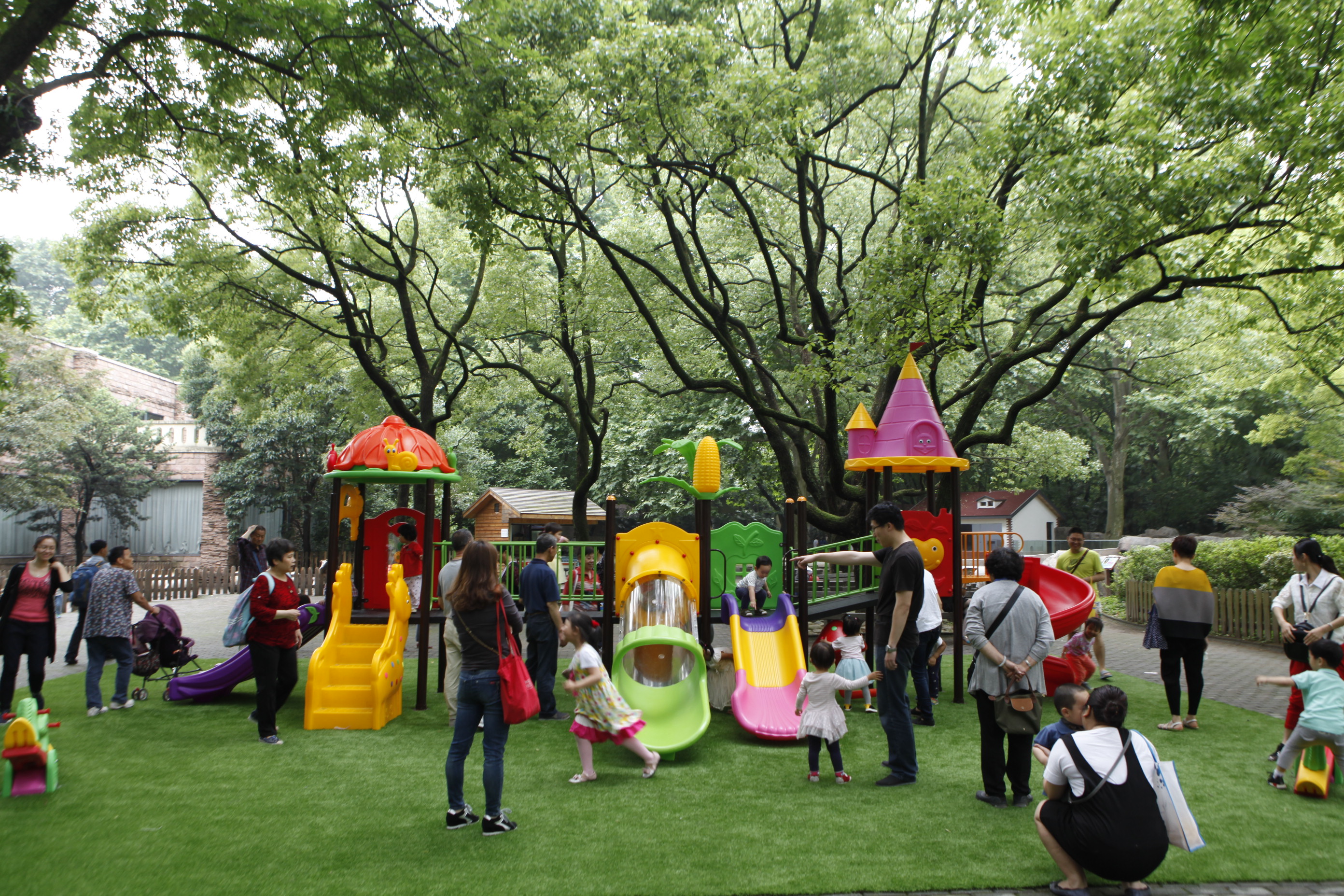 儿童动物园开放细尾獴耳廓狐入住