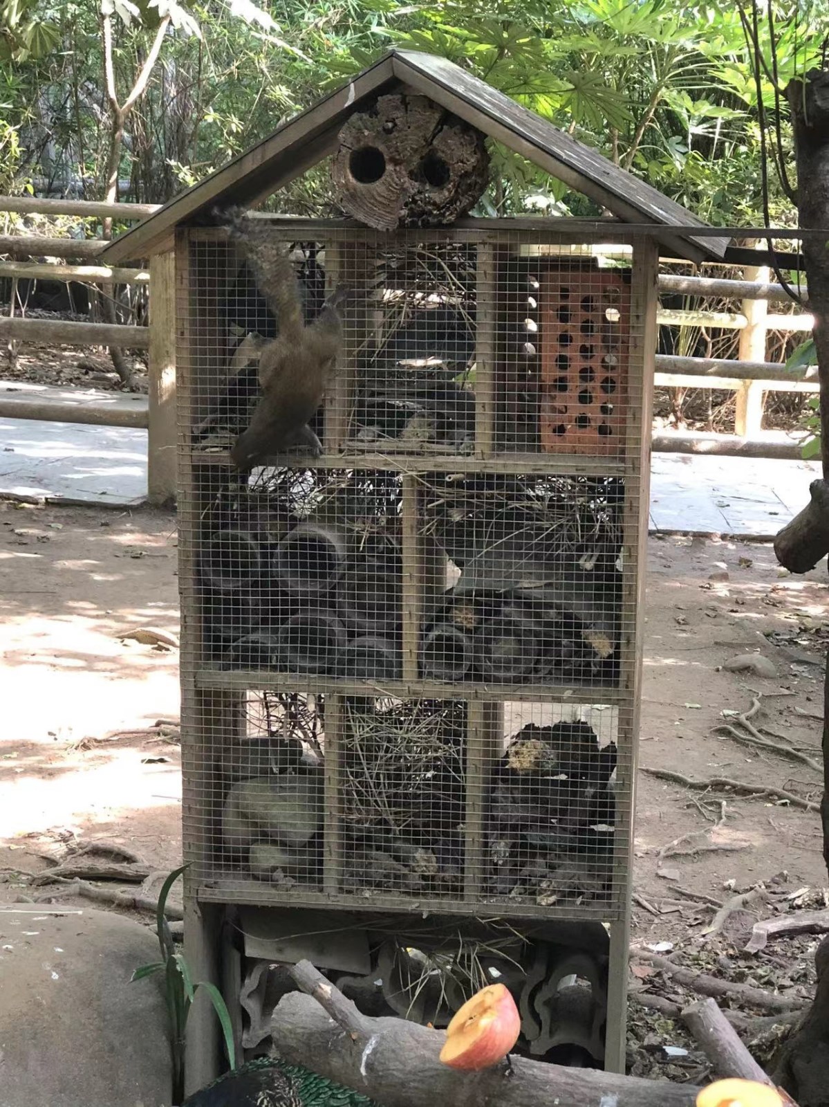 昆虫旅馆.jpg 昆虫旅馆.jpg