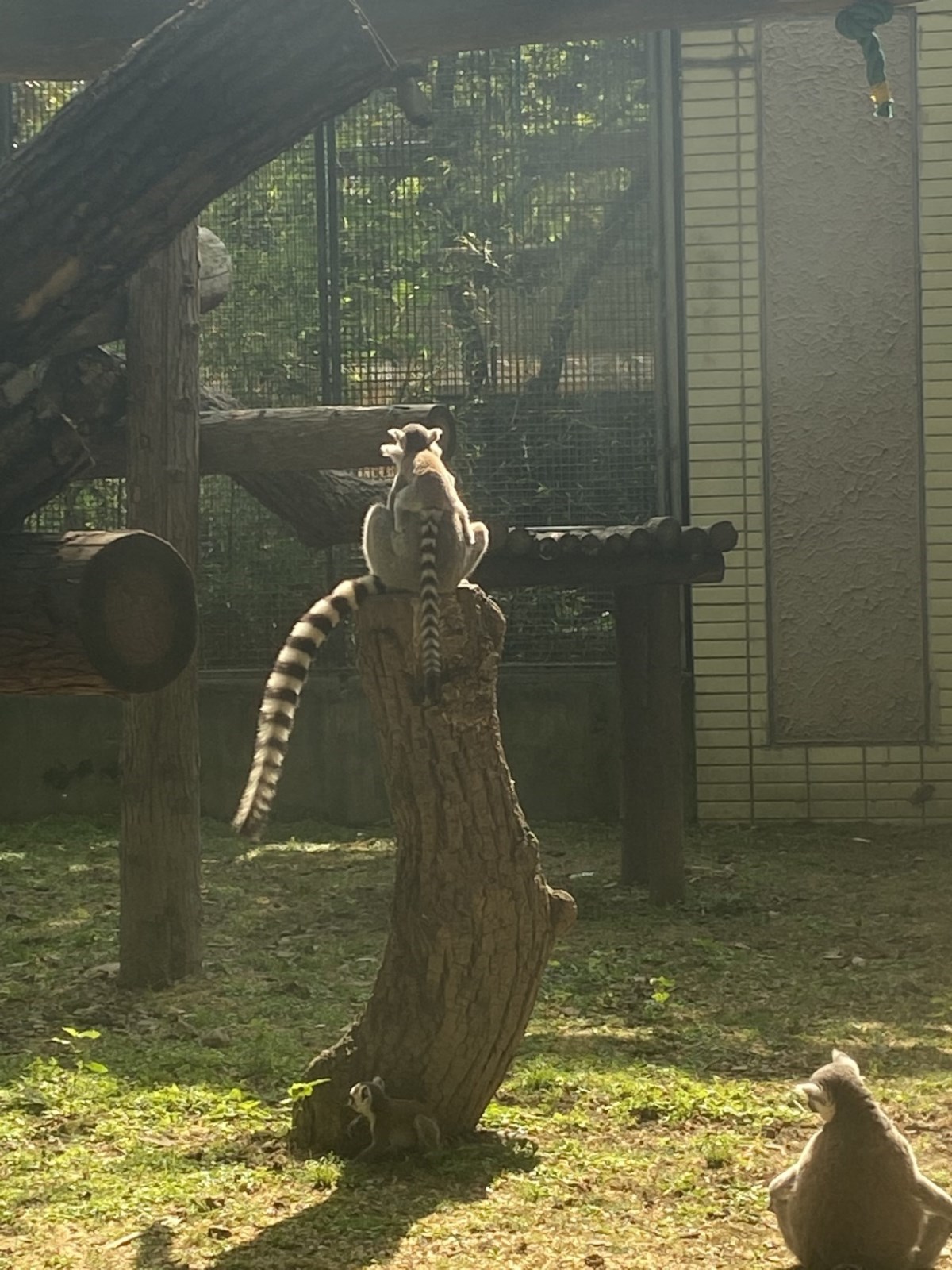 微信图片_20230514144505.jpg 微信图片_20230514144505.jpg