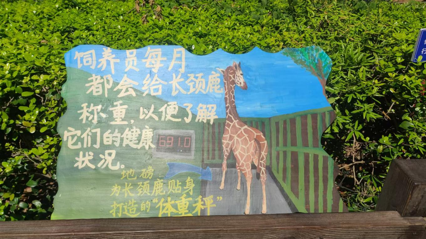微信图片_202505031443471.jpg