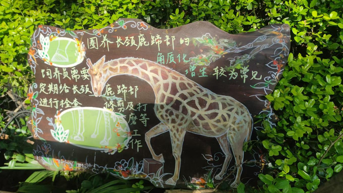 微信图片_202505031443462.jpg