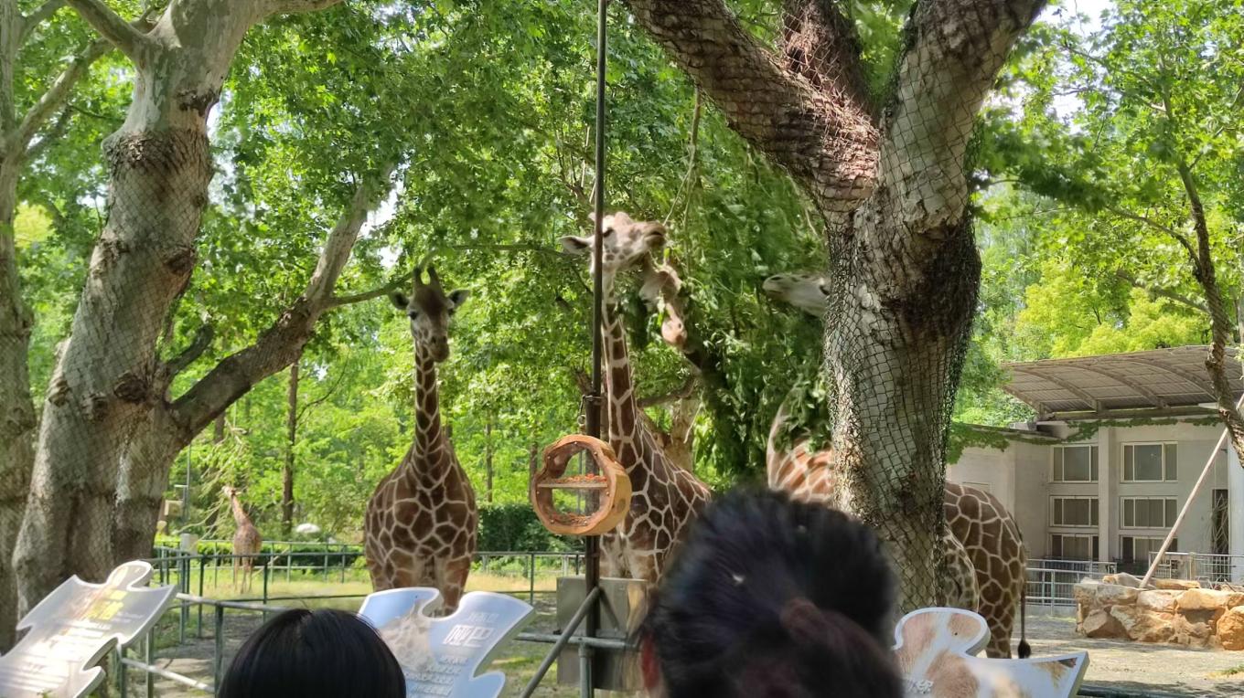 微信图片_20250503144345.jpg