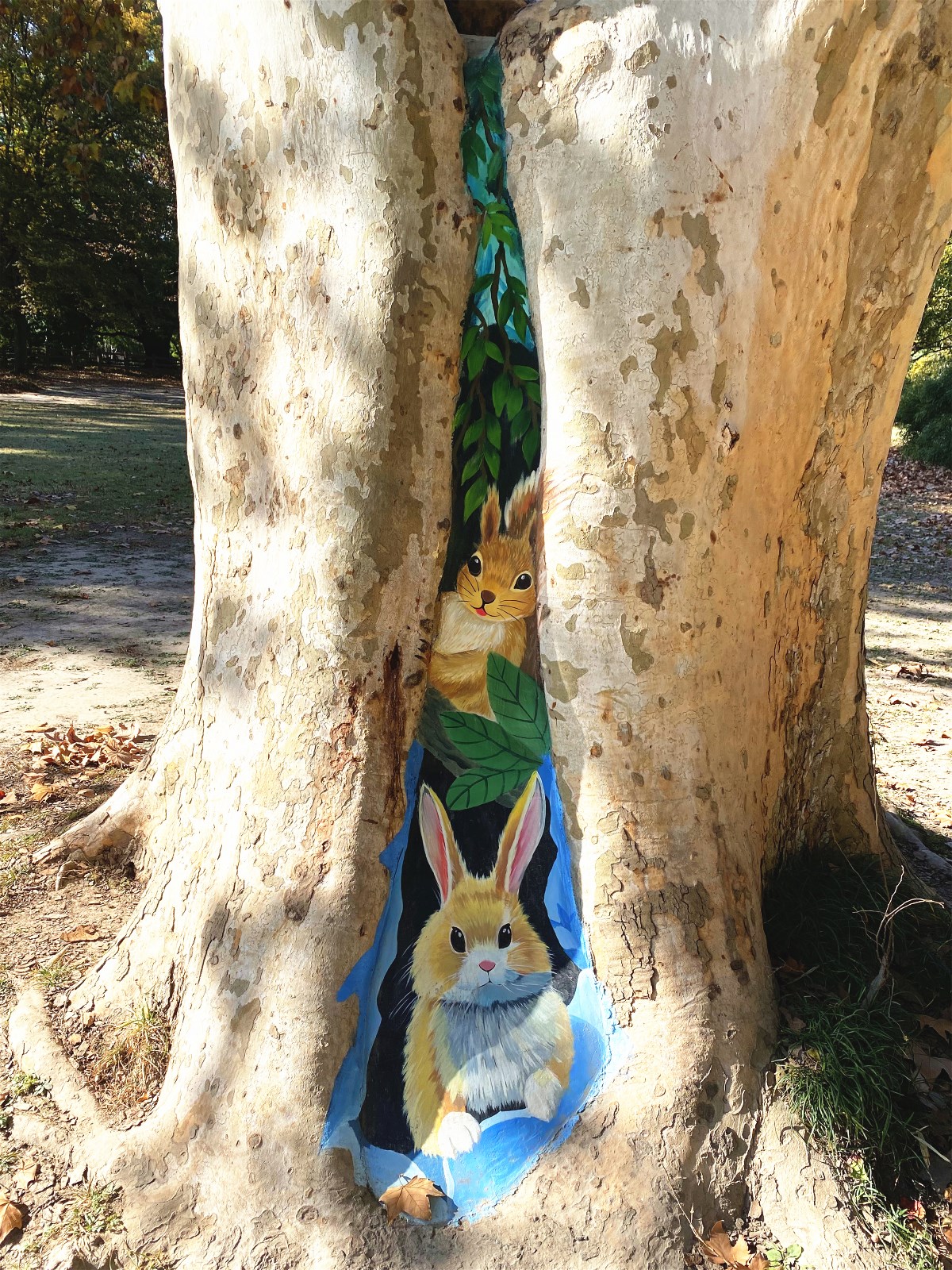 树洞画画 (6).jpg