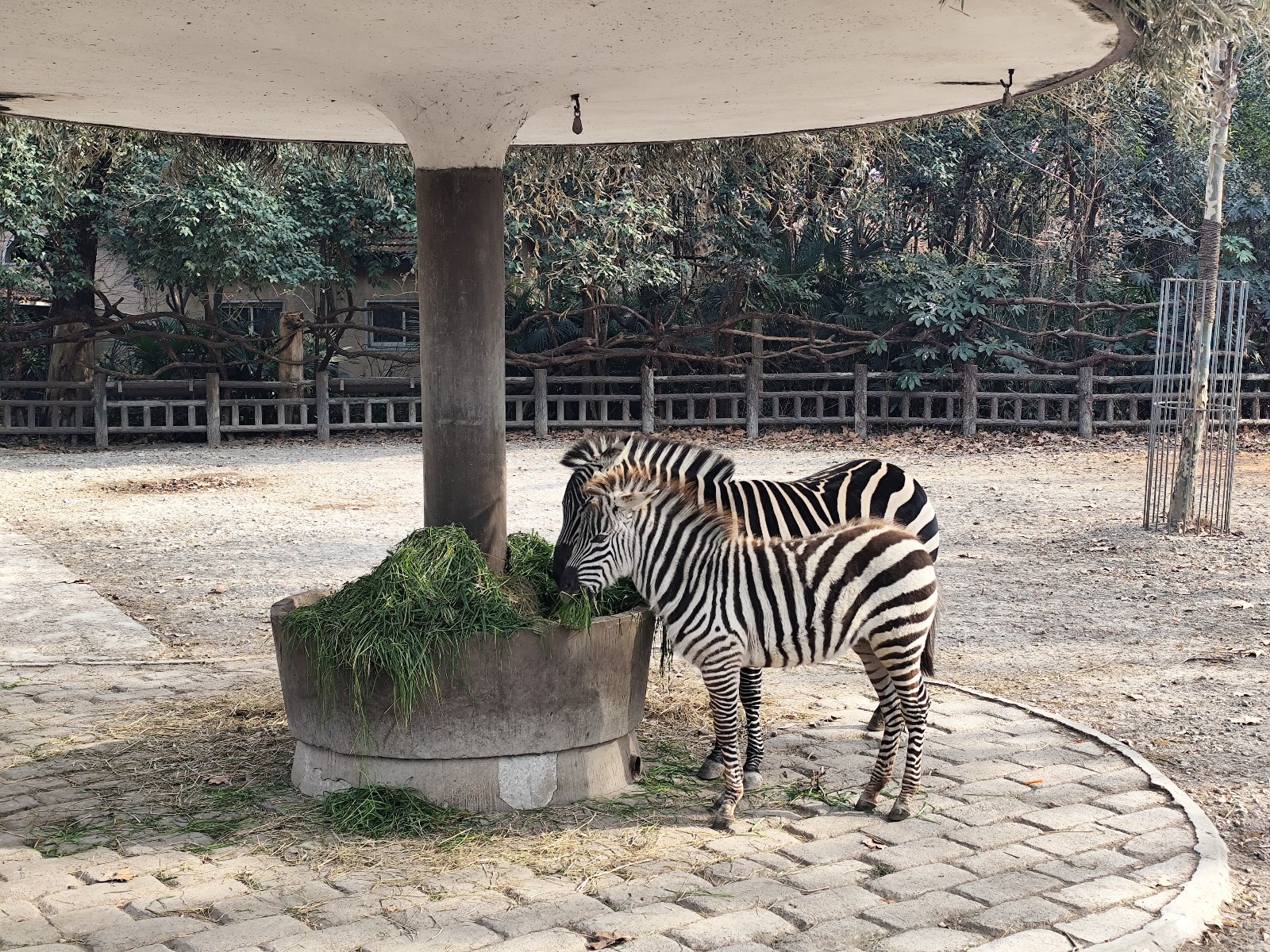 微信图片_20260122153243_42_6.jpg 微信图片_20260122153243_42_6.jpg