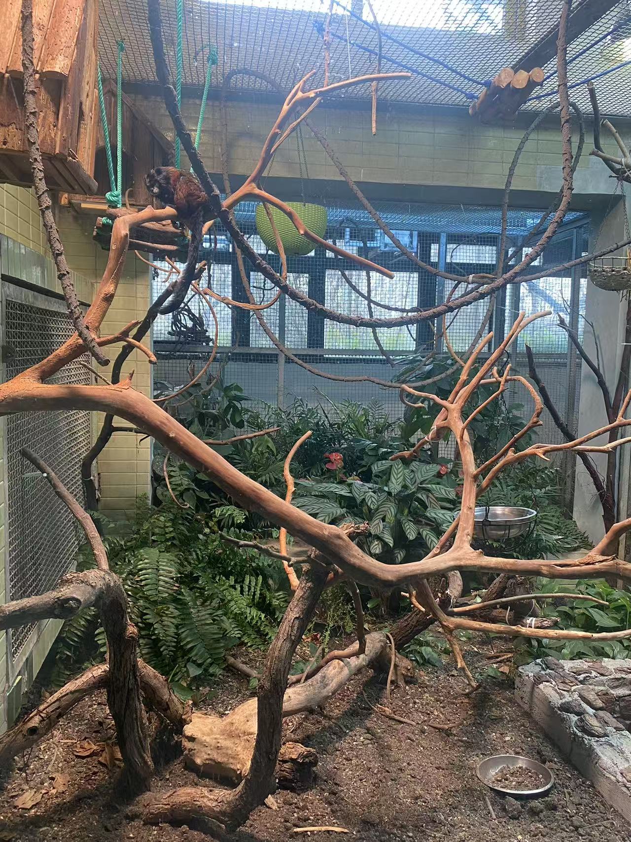 7e09ac49382057647d09535452afb65f.jpg 7e09ac49382057647d09535452afb65f.jpg