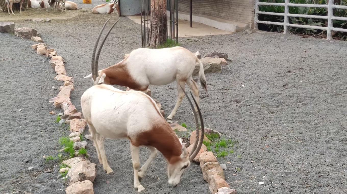 8d52d7dc1e2eeb0c9e43d12d81f9ec16.jpg 8d52d7dc1e2eeb0c9e43d12d81f9ec16.jpg