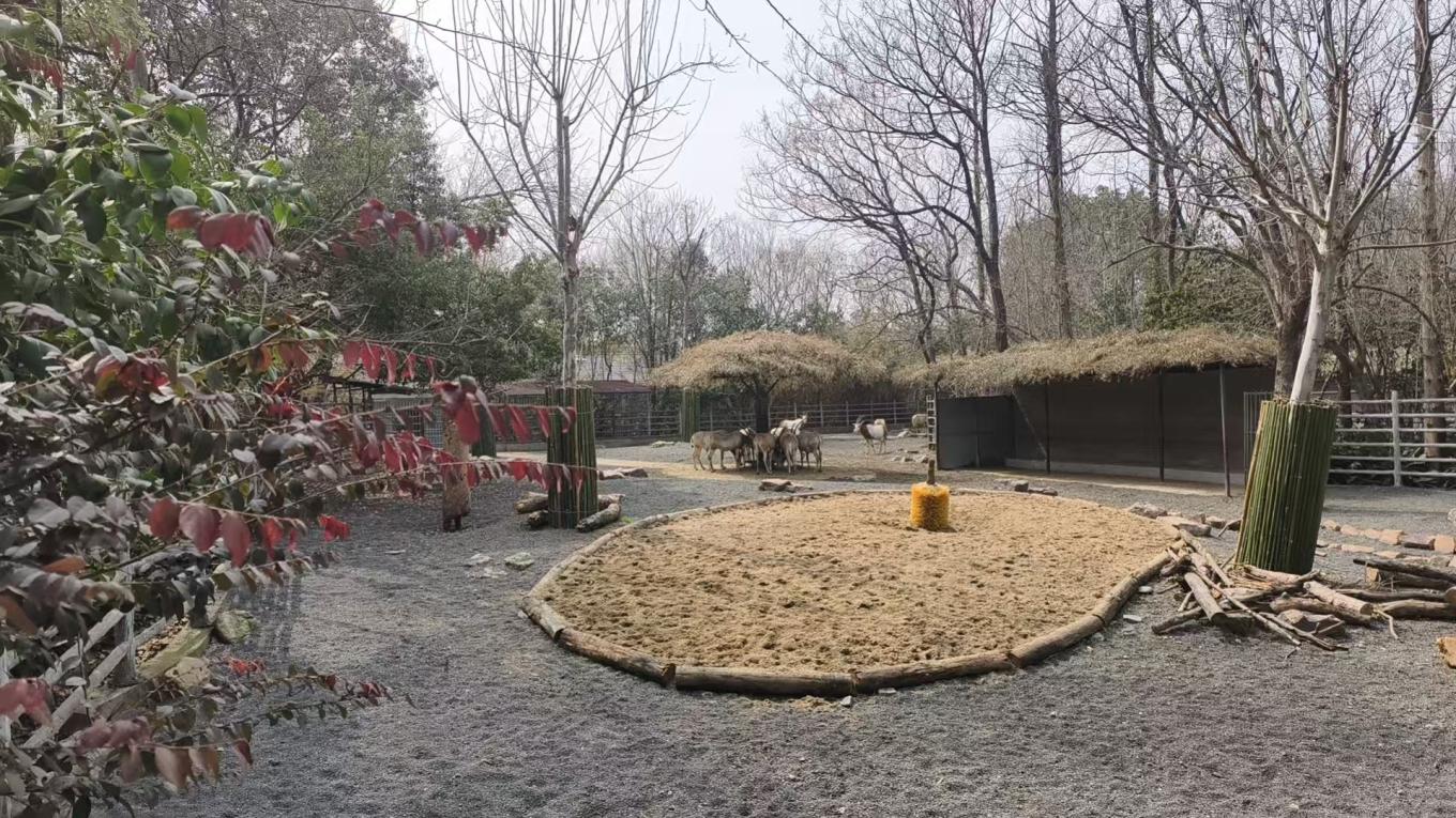 15d3569ecd86a0c35eeed00c439f4911.jpg 15d3569ecd86a0c35eeed00c439f4911.jpg