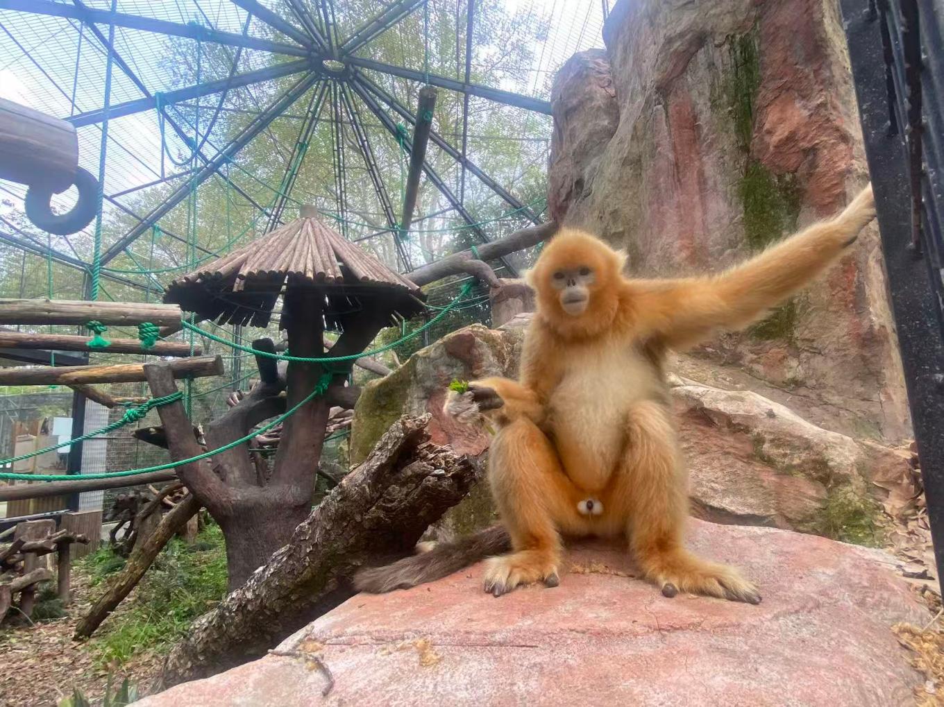 1243cfaf3b4e833c86a65ea9b724db42.jpg 1243cfaf3b4e833c86a65ea9b724db42.jpg